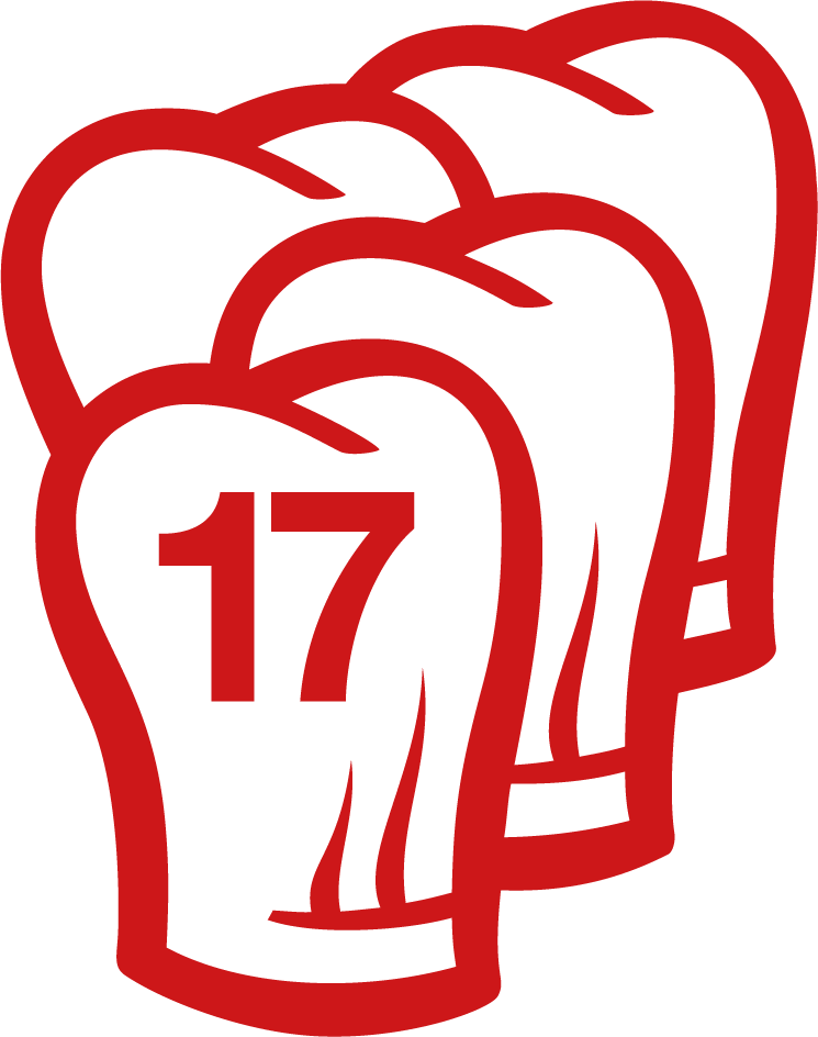 Grafik mit vier roten Boxhandschuhen, mit 17 auf dem vorderen Handschuh, als Symbol für Auszeichnungen.